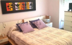 Apartamento 1 Dormitorio, Centro de Elche